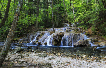 Forest waterfall and clear stream