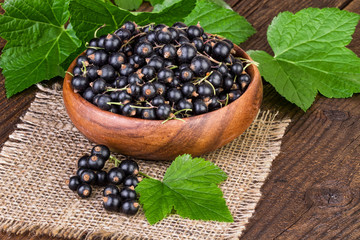cup of blackcurrant with green leaves on canvas background