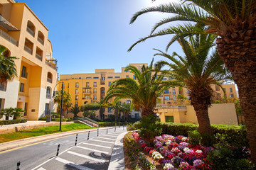 Fototapeta na wymiar Palm Trees in Portomaso Malta