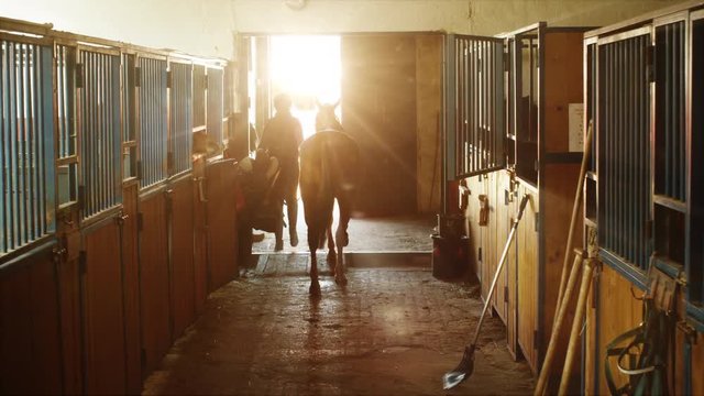 Young jockey girl is walking a horse out of a stable. Shot on RED Cinema Camera.