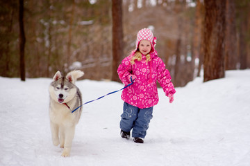 Fototapeta na wymiar little girl running in the woods with hasky