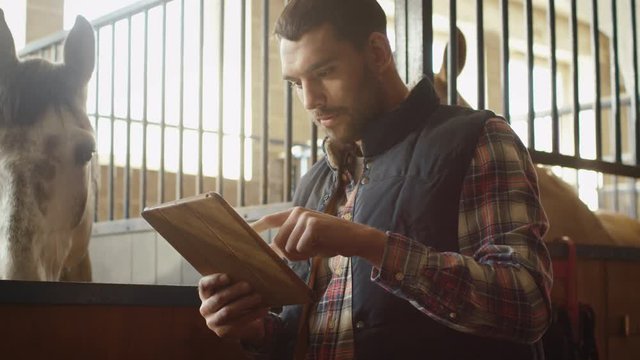 Man is using a tablet computer next to a horse in a stable