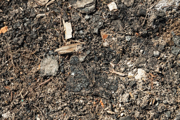 shavings, mud, rocks on the ground. close up.Wooden background