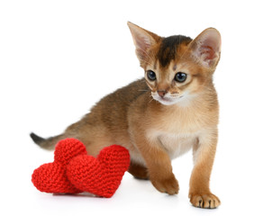 Valentine theme kitten with red heart isolated