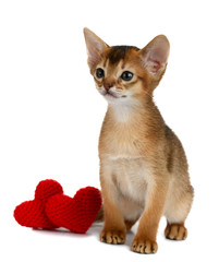 Valentine theme kitten with red heart isolated