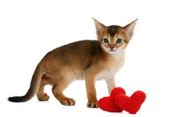 Valentine theme kitten with red heart isolated