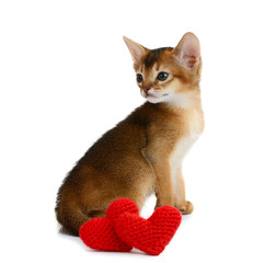 Valentine theme kitten with red heart isolated