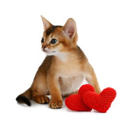 Valentine theme kitten with red heart isolated