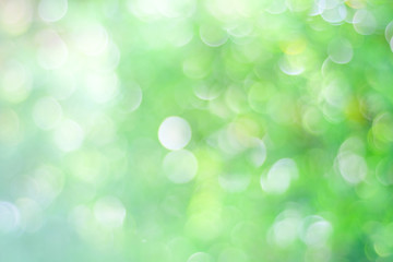 Fototapeta na wymiar Blur green tree with bokeh light background