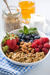 healthy nutritious breakfast with cereal and berries, closeup 