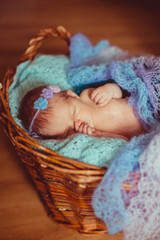 Baby is lying in the basket in the wreath