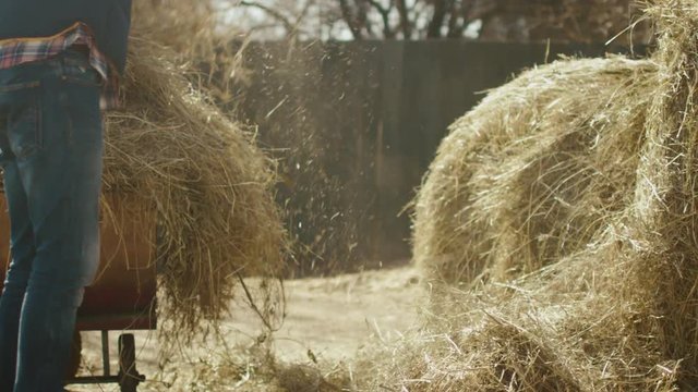 Man is cleaning a farm yard from hay with a pitchfork on a sunny day. Shot on RED Cinema Camera.