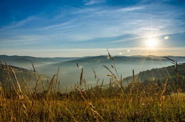 Obraz premium mountain summer landscape. trees near meadow and forest on hills