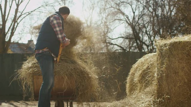 Man is cleaning a farm yard from hay with a pitchfork on a sunny day. Shot on RED Cinema Camera.