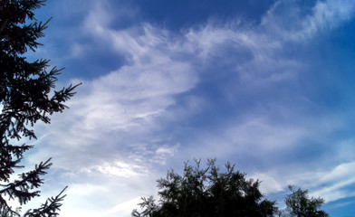 Blue sky background with tiny clouds