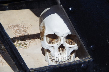 One skull  replica behind windowpane shadows