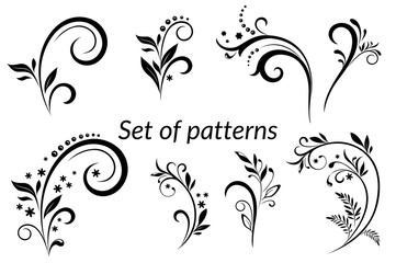 Set of Vintage Calligraphic Elements, Floral Patterns Black Silhouettes Isolated on White Background. Vector