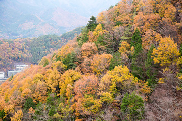 Autumn mountain