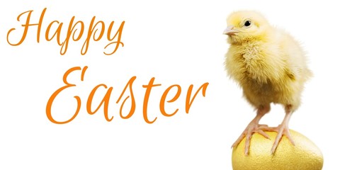 Chick.