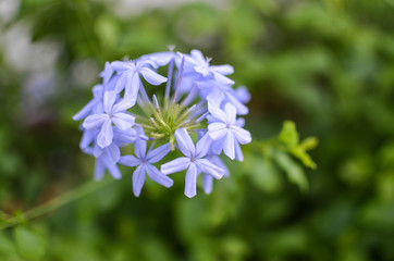 Kirchturm in Andalusien.