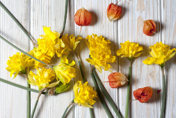 daffodils