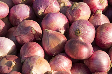 Onions for sale at a farmer's market in Punjab, India