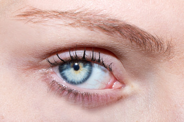 Fototapeta premium Mirada de ojo azul / jara 4468