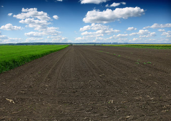 Plowed field in spring time