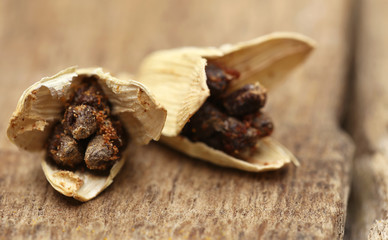 Cardamom seeds