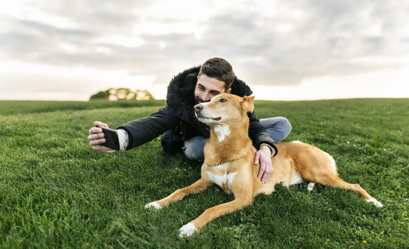 Man taking selfie with his dog on meadow