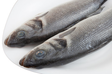 Fresh seabass fish