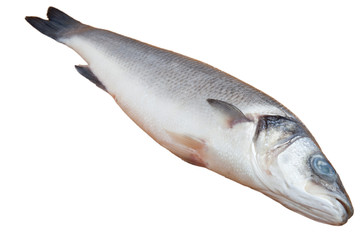 Fresh seabass fish