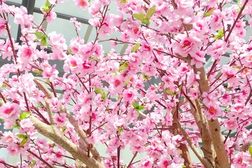 Artificial Pink Sakura Flowers for Decorating Japanese Style