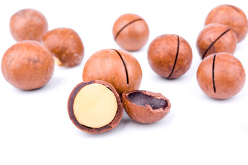 macadamia nuts, isolated
