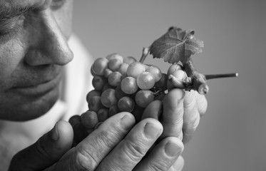 Old man holding a grape in his hand