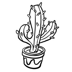 black and white cactus in a pot