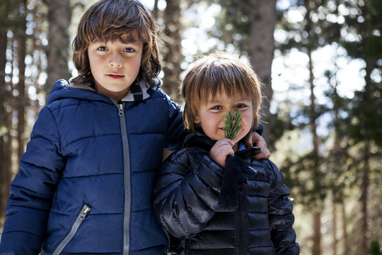 Portrait of two little boys in the woods