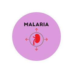 Vector icon  on  circle various symptoms of Malaria on the bodies