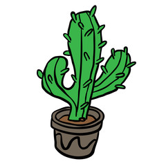 cactus in a pot