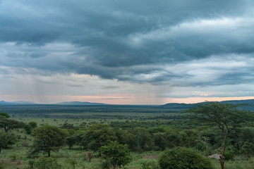 Savanna plain at dawn against distance view of mountain and storm cloudy sky background. Serengeti National Park, Tanzania, Africa. 
