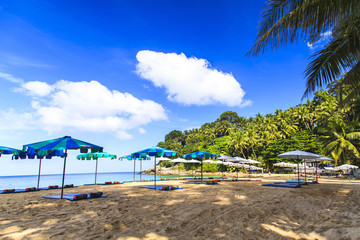 Summer vacation concept background
