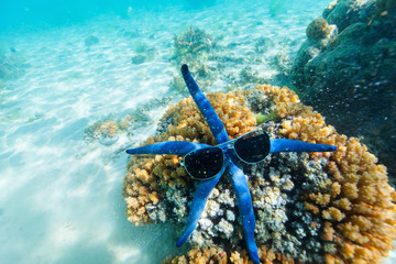 Blue starfish at reef
