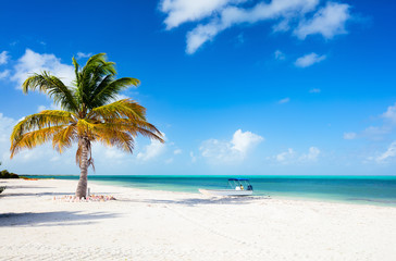 Plakat Idyllic beach at Caribbean