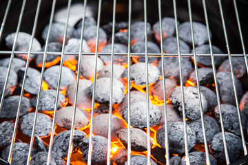 Empty grill with red-hot briquettes.