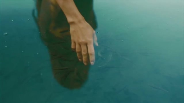 Fragile white woman hand submerged in the calm blue water of mountain lake Synevir and surrounded by many little fishes. The harmony of human and nature