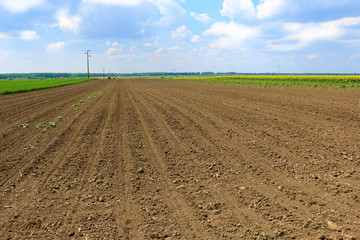 Plowed field in spring time