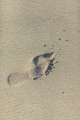 Footprints on the sand