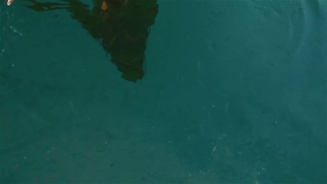 Reflaction of beautiful naked fantsy girl nyph of mountain Synevir lake in Carpathians. Close up of fragile hands submerged in clean blue water with many healing fishes