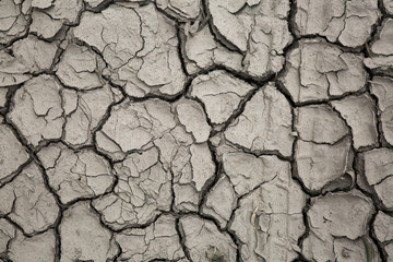 Global Warming