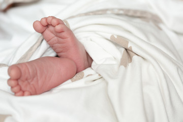 Photo of a newborn baby feet